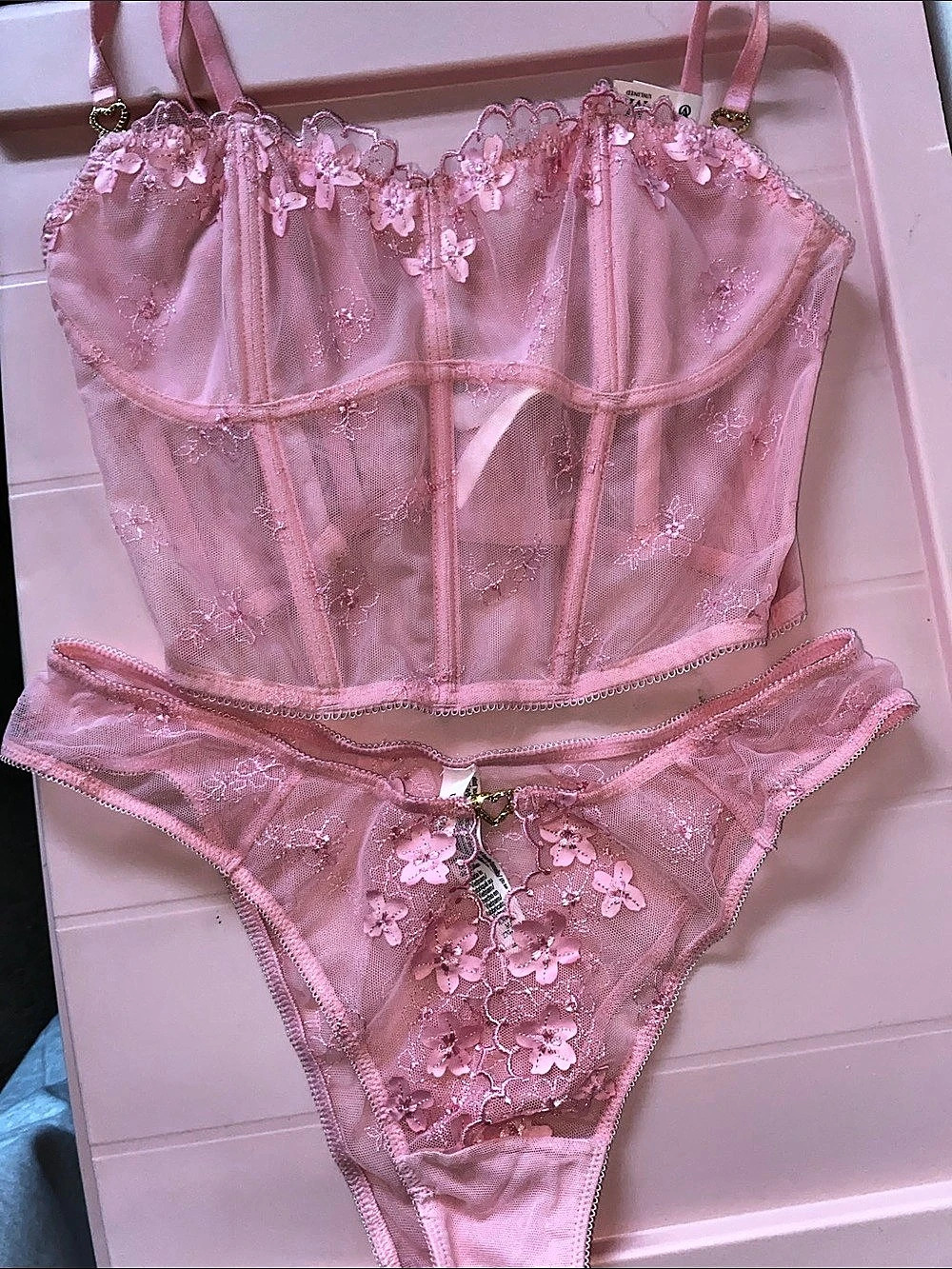 Victoria's Secret Dream Angels Pretty Petals Corset Top and Matching Panty Set